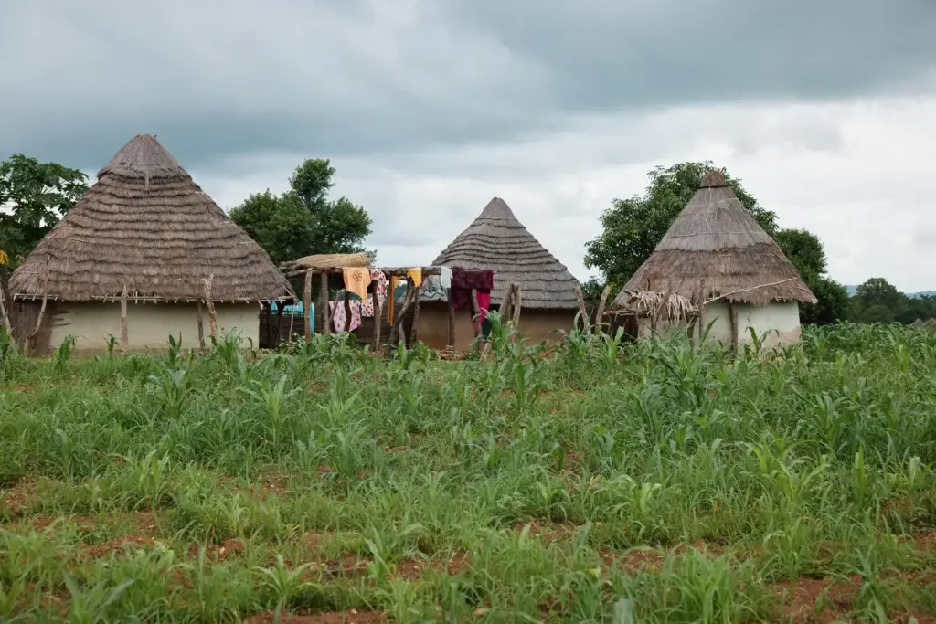 veritree project Senegal